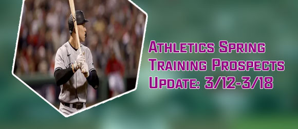 Spring training odds