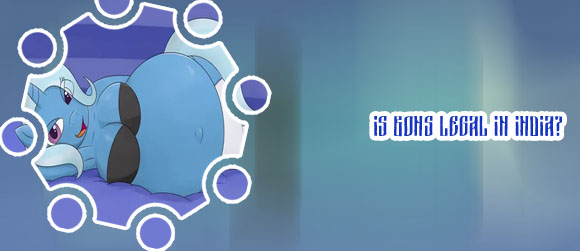 What is trixie in babu88